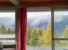 Appartamento panoramico con vista sulle montagne e accesso diretto alle piste, hotel i Mezzana