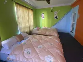 Homemade guest house and netflix