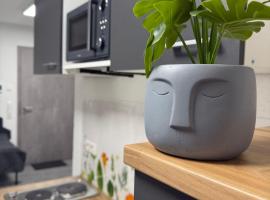 Ruhige Apartments an der Donau - Schwaben Living、Munderkingenのホテル