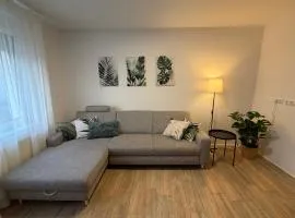 Apartment THEO