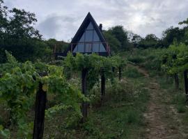 A frame Miška, hotel in Nána