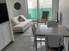 Appartement proche du tram et du stade