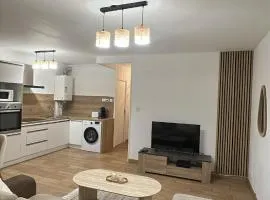 Appartement moderne à 5min du centre ville et des quais