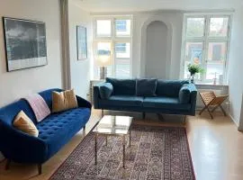 Spacious Apartment Near City & Åløkke Forest