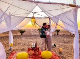 The White Camp Merzouga - Official Luxury Desert Camp & Camel Tours