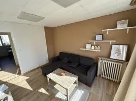 Grand appartement lumineux