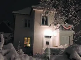 Gîte avec parking, au calme, entre Colmar-Riquewihr et Obernai ,marchés de Noël, 3 chambres, avec terrasse