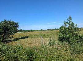 6 person holiday home in Blåvand-By Traum, hotel em Blåvand