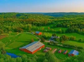 Master Complex 12 Br Estate Experience 100 Acre