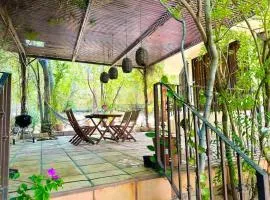 Large family house in Cabo , pet friendly