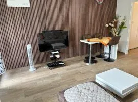 Appart de Lux , 3 borders , free parking ,