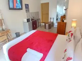 Neo & Ruks Guest Houses Boston Belleville