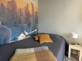 Modernly Renovated Northern Lapland Home, Free WiFi & Parking