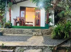 Ella Hide Forest Cottage