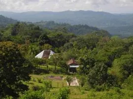 Finca La Virgen