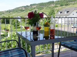 Weingut Pension Heinz Dostert, gistiheimili &iacute; Nittel