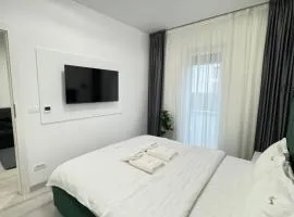 Cozy Apartments in Centre of Arad Adora Park
