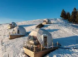 Stargazing Glamping Domes Golte