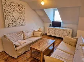 Magnifique Appartement rénové au coeur de Pau