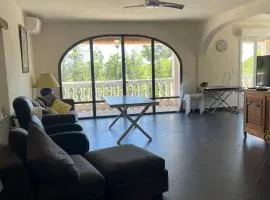 Villa du sud avec piscine et jardin