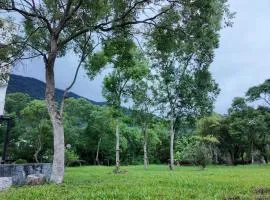 樹海翠湖