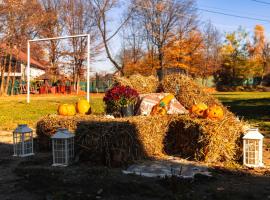 PENSIUNE RESTAURANT POIANA AVRIGULUI loc de joaca pentru copii, hotel in Avrig