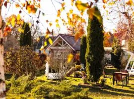 PENSIUNE RESTAURANT POIANA AVRIGULUI loc de joaca pentru copii