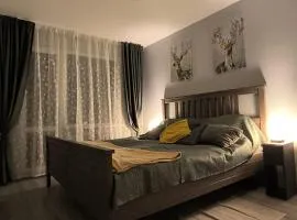 Ludza Stay Apartment