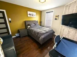 The Modern Stays