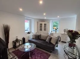 Renovated farmhouse apartment - Swiss border