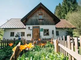 Ferienhaus Lenzau