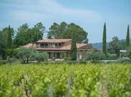 Villa le Mas - Vignoble - Piscine privé - Climatisation - 35min Saint Tropez
