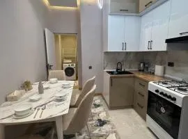 Apartments in Tashkent in Alfraganus