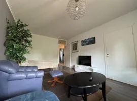 Kotimaailma - A cozy apartment for business guests