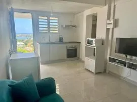 Studio moderne à Le Vauclin 25 m² avec terrasse