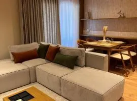 Luxury Flat In Tirana