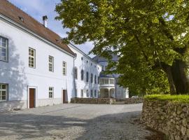 Balónový zámek Radešín, hotel i Radešín