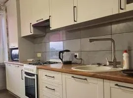 Апартаменти в Центрі, вул Незалежності, 5
