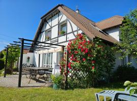 Villa Paula Pluski, hotel in Pluski