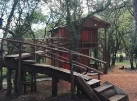 Camping Sítio Schandoá