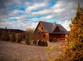 Bieszczady Żubrowe Wzgórze 785-049-543