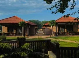 Lane Apartmani - Terasa