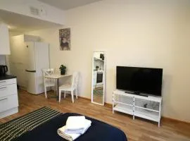 Convenient Studio for 2