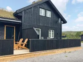 3 Bedroom Stunning Home In Hovden I Setesdal