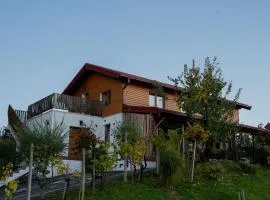 Ruralna kuća za odmor KOVIN BREG