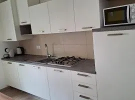 Blue-green Apartment