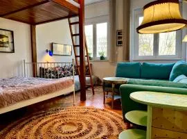 Central Buda design flats