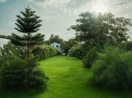 The Dragonfly Retreat