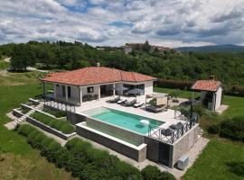 Villa Green Forest with wellness and heated salty pool, Hotel in Hum