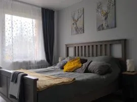 Ludza stay Apartment